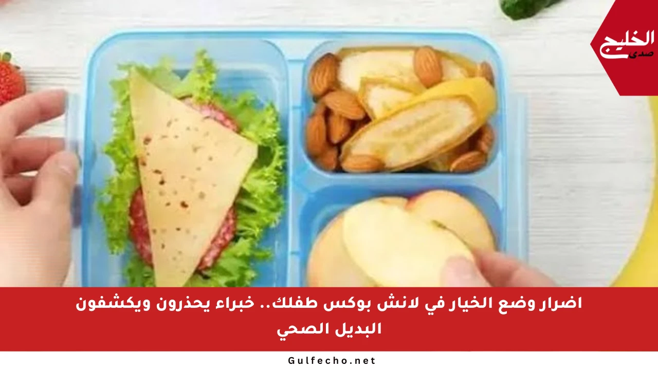 أضرار وضع الخيار في لانش بوكس طفلك.. خبراء يحذرون ويكشفون البديل الصحي